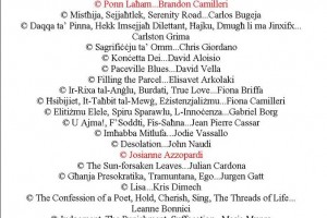 2 books to be released in Malta early 2014 by the Vision+ Group of authors and artists