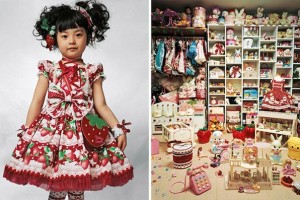 A ‘must have’ book that would make a fabulous present A ‘must have’ book that would make a fabulous present