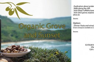 Organic Grove and Sunset event organized by the Gaia Foundation and Green Drinks Malta