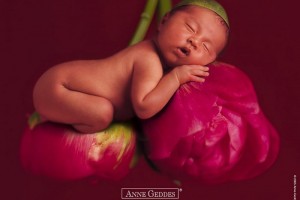 The role of the parent is that of a gardener