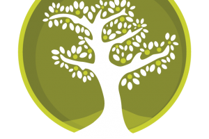 20% off on Montessori home consultancy by The Olive Grove